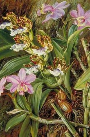 Cover of Marianne North Orchids in Art Purple Brazilian Orchids