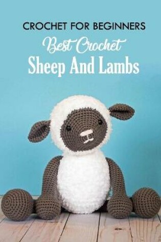 Cover of Crochet for Beginners