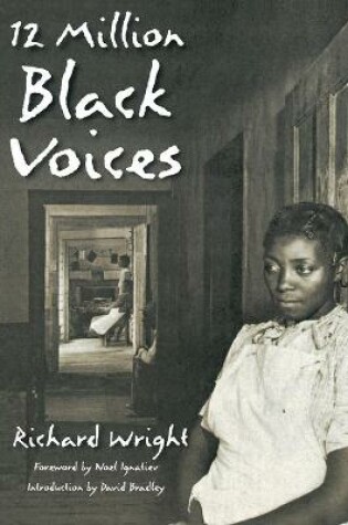 Cover of 12 Million Black Voices