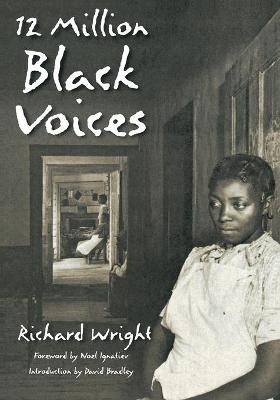 Book cover for 12 Million Black Voices