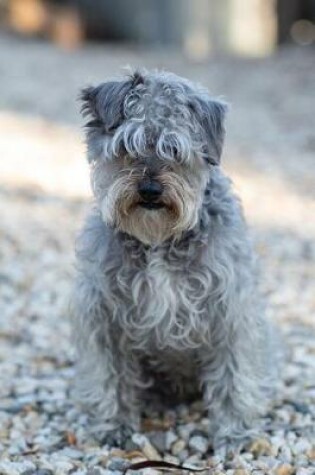 Cover of Sweet Schnoodle Dog Journal