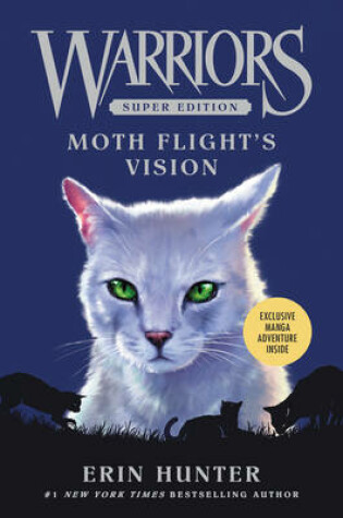 Cover of Moth Flight's Vision