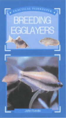 Book cover for Practical Fishkeeper's Guide to Breeding Egglayers