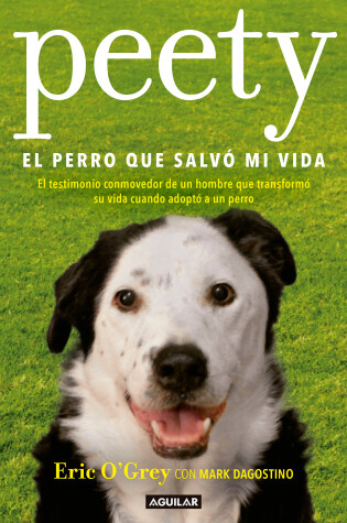 Cover of Peety, el perro que salvo mi vida / Walking with Peety: The Dog Who Saved My Life