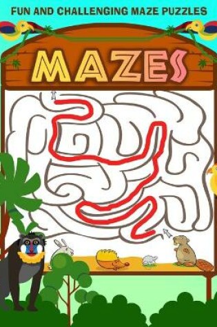 Cover of Mazes For Kids