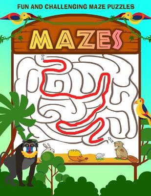 Book cover for Mazes For Kids