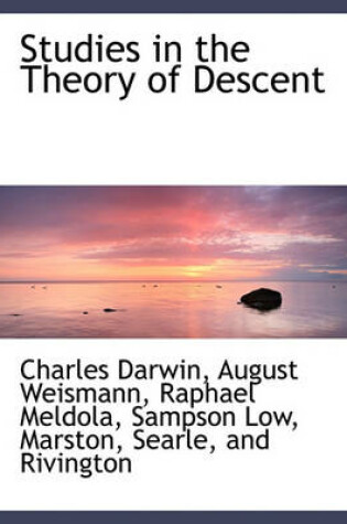 Cover of Studies in the Theory of Descent