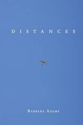 Book cover for Distances