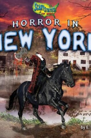 Cover of Horror in New York