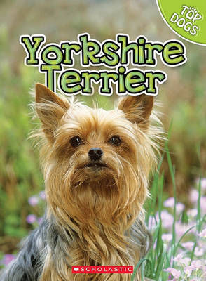 Cover of Yorkshire Terrier