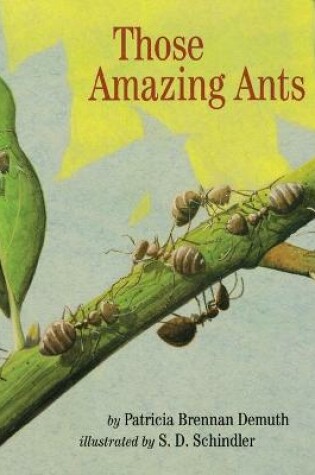 Cover of Those Amazing Ants