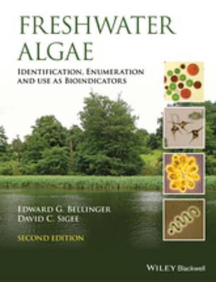 Book cover for Freshwater Algae