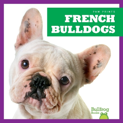 Book cover for French Bulldogs