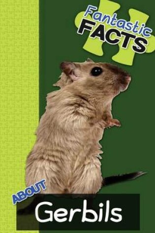 Cover of Fantastic Facts about Gerbils