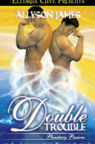 Cover of Double Trouble