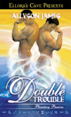 Book cover for Double Trouble