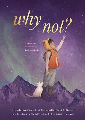 Book cover for Why Not?