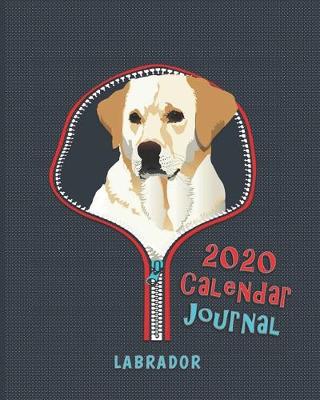 Book cover for Labrador