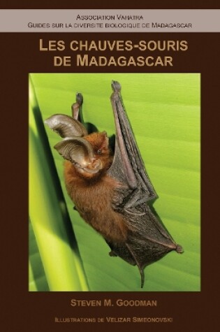 Cover of Les Chauves–Souris de Madagascar