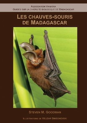 Book cover for Les Chauves–Souris de Madagascar