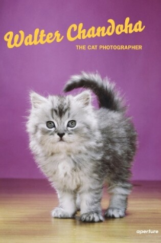 Cover of Walter Chandoha: The Cat Photographer