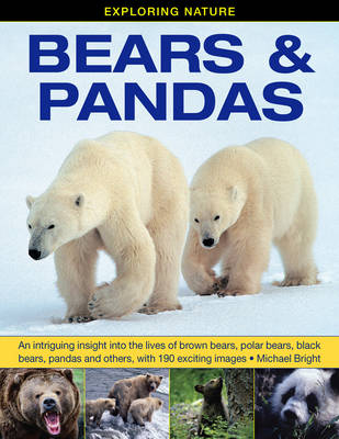 Book cover for Exploring Nature: Bears & Pandas