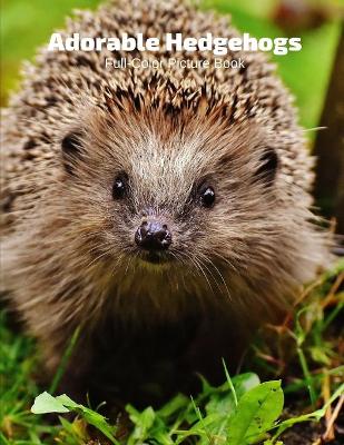 Book cover for Adorable Hedgehogs Full-Color Picture Book