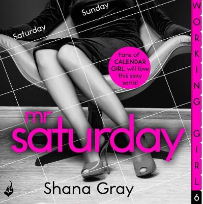 Book cover for Mr Saturday (A sexy serial, perfect for fans of Calendar Girl)