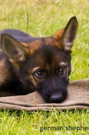 Cover of German Shepherd