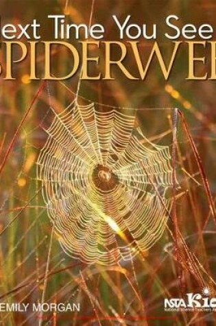 Cover of Next Time You See a Spiderweb