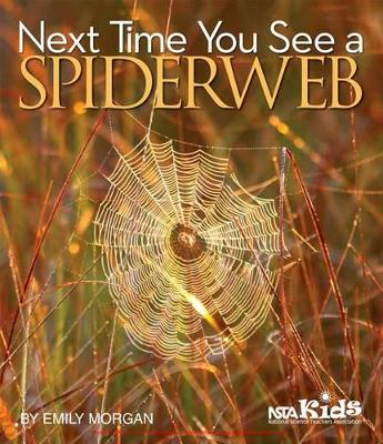 Book cover for Next Time You See a Spiderweb