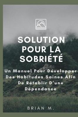 Book cover for Solution Pour la Sobriete