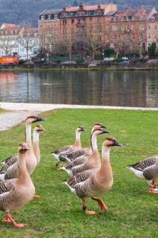 Cover of Flock of Geese in Heidelberg, Germany Journal