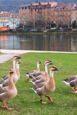 Book cover for Flock of Geese in Heidelberg, Germany Journal