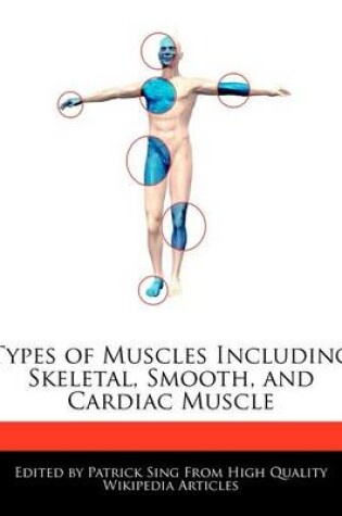 Cover of Types of Muscles Including Skeletal, Smooth, and Cardiac Muscle