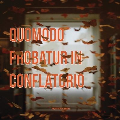 Book cover for Quomodo probatur in conflatorio