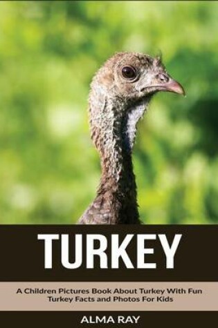 Cover of Turkey