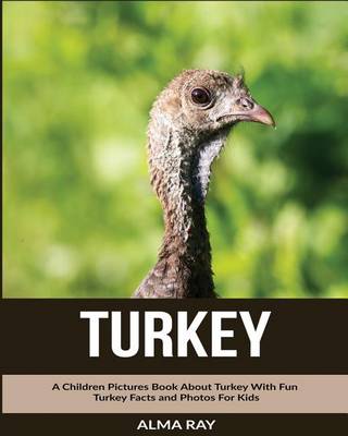 Book cover for Turkey