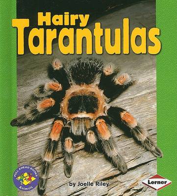 Cover of Hairy Tarantulas