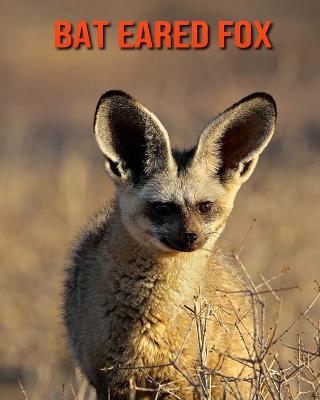 Book cover for Bat Eared Fox