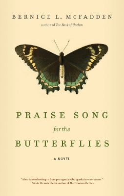 Book cover for Praise Song for the Butterflies