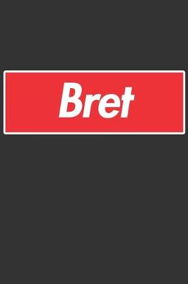 Book cover for Bret