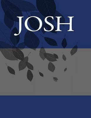 Book cover for Josh