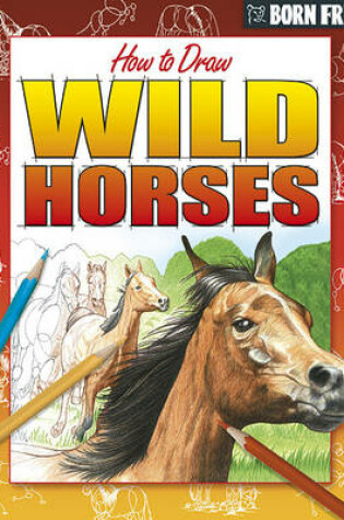 Cover of Wild Horses and Ponies