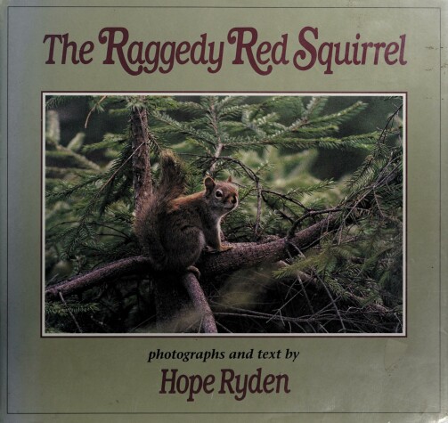 Book cover for Ryden Hope : Raggedy Red Squirrel (HB)