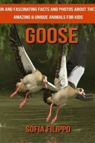 Cover of Goose