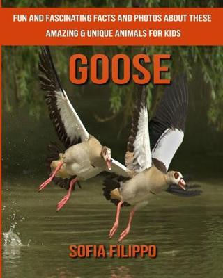 Book cover for Goose