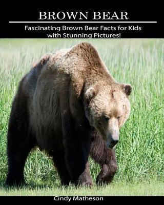 Book cover for Brown Bear