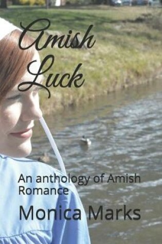 Cover of Amish Luck