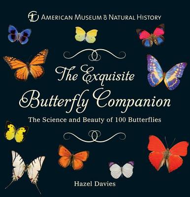 Book cover for The Exquisite Butterfly Companion